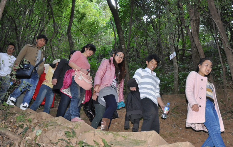 青龍峽位于昆明西郊安寧市青龍鎮(zhèn)滇中生態(tài)大峽谷中，景區(qū)有保存較為完好的植物群落，遮天蔽日的參天古木；有浪漫山花，野果飄香，還有清秀寧靜的田園風(fēng)光。河谷沿岸古柳成蔭，幾十里的云南櫻花大道成為昆明郊游靚麗的風(fēng)景線。景區(qū)中溪水潺潺，千姿百態(tài)、千奇百怪的蔓藤風(fēng)光隨處可見，號稱“都市身旁的小九寨。