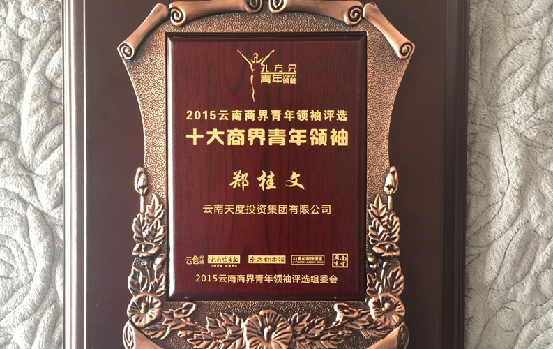 在“互聯(lián)網(wǎng)大時(shí)代”的背景下，天度作為本土很大和很有名的互聯(lián)網(wǎng)服務(wù)企業(yè)，為近萬家傳統(tǒng)企業(yè)轉(zhuǎn)型互聯(lián)網(wǎng)+提供了服務(wù)和幫助，獲此獎(jiǎng)項(xiàng)后，我們將再接再厲，創(chuàng)造更高的社會(huì)價(jià)值